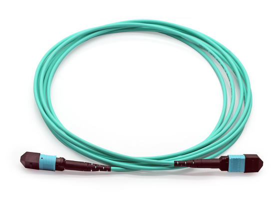Multimode OM4 Fiber Patch Cables LSZH MPO Trunk Cable 3m 5m Disesuaikan